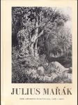 Julius Mařák - náhled