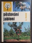 Pěstování jabloní - náhled