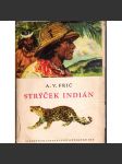 Strýček Indián [obálka Zdeněk Burian; indiáni, Jižní Amerika, Brazílie, Paraguay] - náhled