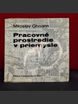 Pracovné prostoredie v priemysle - náhled