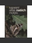 Kapesní atlas našich motýlů (motýl, motýli) - náhled