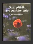 Další příběhy pro potěchu duše - náhled