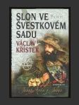 Slon ve švestkovém sadu - náhled