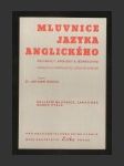 Mluvnice jazyka anglického - náhled