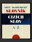 Nový akademický slovník cizích slov A - Ž - náhled