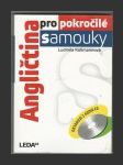 Angličtina pro pokročilé samouky + 2CD - náhled