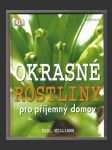 Okrasné rostliny pro příjemný domov - náhled