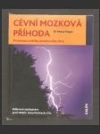 Cévní mozková příhoda - náhled