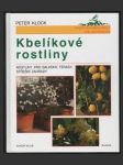 Kbelíkové rostliny - náhled