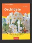 Orchideje - náhled