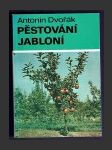 Pěstování jabloní - náhled