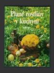 Plané rostliny v kuchyni - náhled