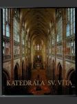 Katedrála sv. Víta - náhled