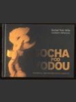 Socha pod vodou - náhled