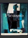 Picasso - náhled