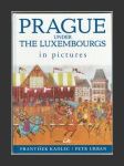 Prague under the Luxembourgs in pictures - náhled