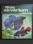 Moje akvarium - náhled