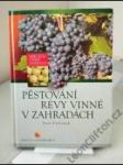 Pěstování révy vinné v zahradách - náhled