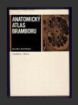 Anatomický atlas bramboru - náhled