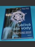 Léčivá síla vody - Emoto - náhled