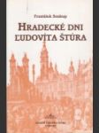 Hradecké dni Ľudovíta Štúra - náhled