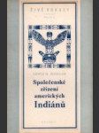 Společenské zřízení amerických Indiánů - náhled