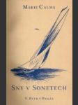 Sny v sonetech - náhled