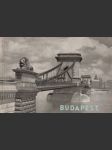 Budapest - náhled