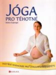 Jóga pro těhotné - náhled