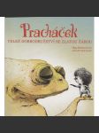 Pracháček - Velké dobrodružství se zlatou žábou - náhled