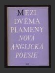 Mezi dvěma plameny: Nová anglická poesie - náhled