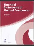 Financial Statements of Limited Companies Tutorial (veľký formát) - náhled