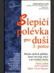 Slepičí polévka pro duši 3. porce - náhled