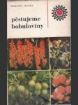 Pěstujeme bobuloviny - náhled