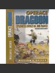 Operace Dragoon: Spojenecká invaze na jihu Francie - náhled