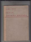 Práce Jaromíra Krejcara (monografie stavebních projektů) - náhled