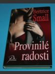 Provinilé radosti - Small - náhled