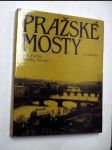 Pražské mosty - náhled