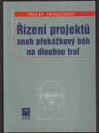 Řízení projektů aneb překážkový běh na dlouhou trať - náhled