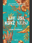 Kde jsi, když nejsi - náhled