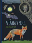 Zvířata v noci - náhled