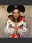 Homogenic - náhled