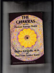 The chakras and the human energy fields - náhled