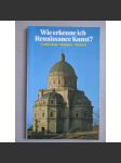 Wie erkenne ich Renaissance Kunst [umění, renesance] - náhled