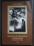 Kouzelné zrcadlo literatury - Písemnictví 19. věku - náhled