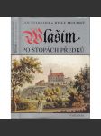 Vlašim po stopách předků - náhled