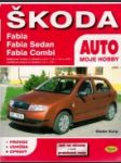 Škoda - náhled