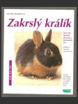 Zakrslý králík - náhled