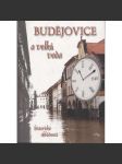Budějovice a velká voda (povodně) - České Budějovice - náhled