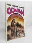 Conan neohrožený - náhled